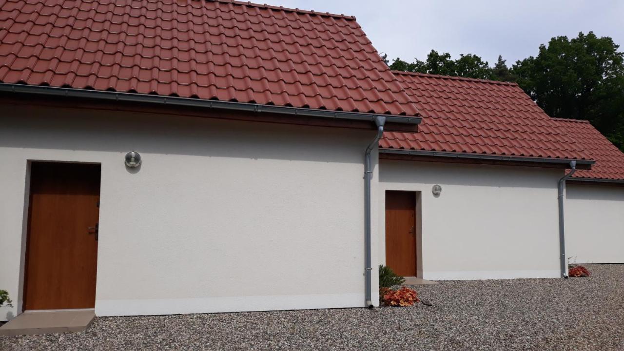Pelikan Niechorze Luaran gambar